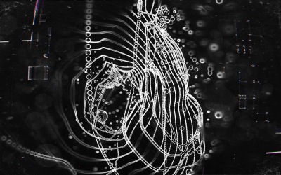 Hold On by Holon
